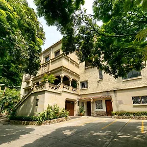 Stein Colonial Cali